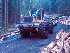 wald1.jpg